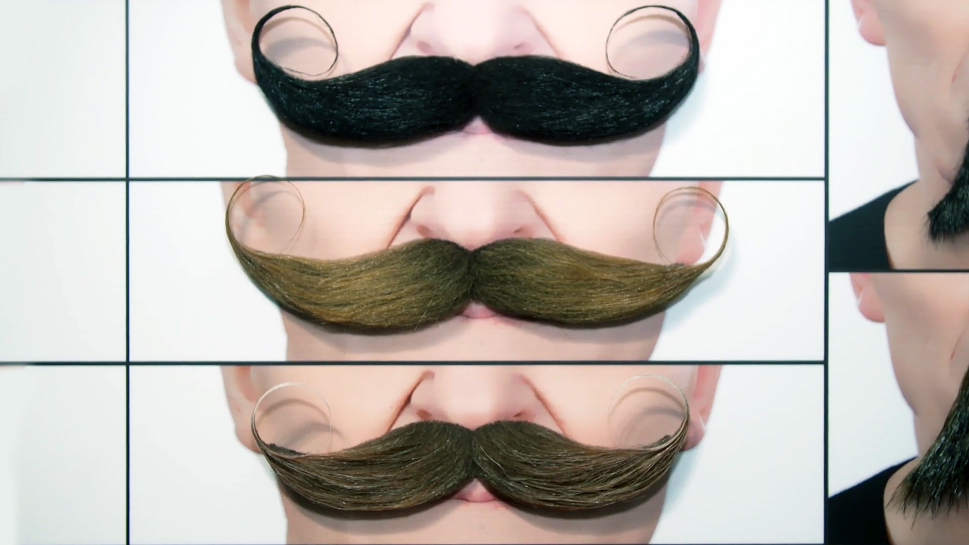 Mustaches Maennerbart Faschingsverkleidung