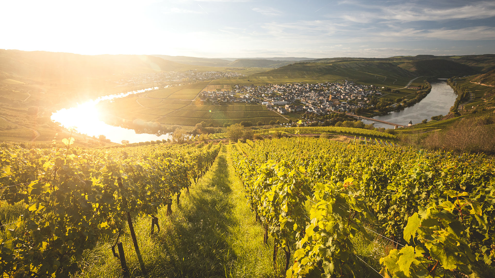 Weinanbaugebiet Mosel