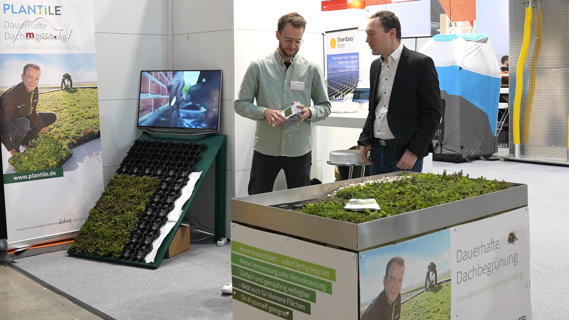 Begruenung von Daechern Plantile Dach Holz