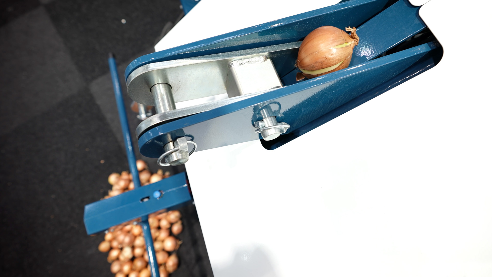 Automatisierung Gemueseanbau Biobetriebe Ekobot