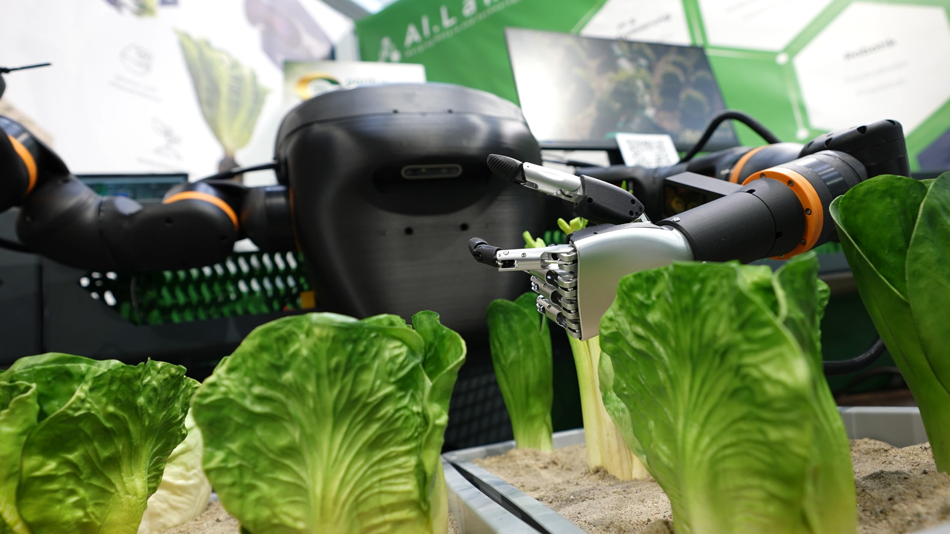 Selektive automatische Ernte fuer gemischte Gemuesebox