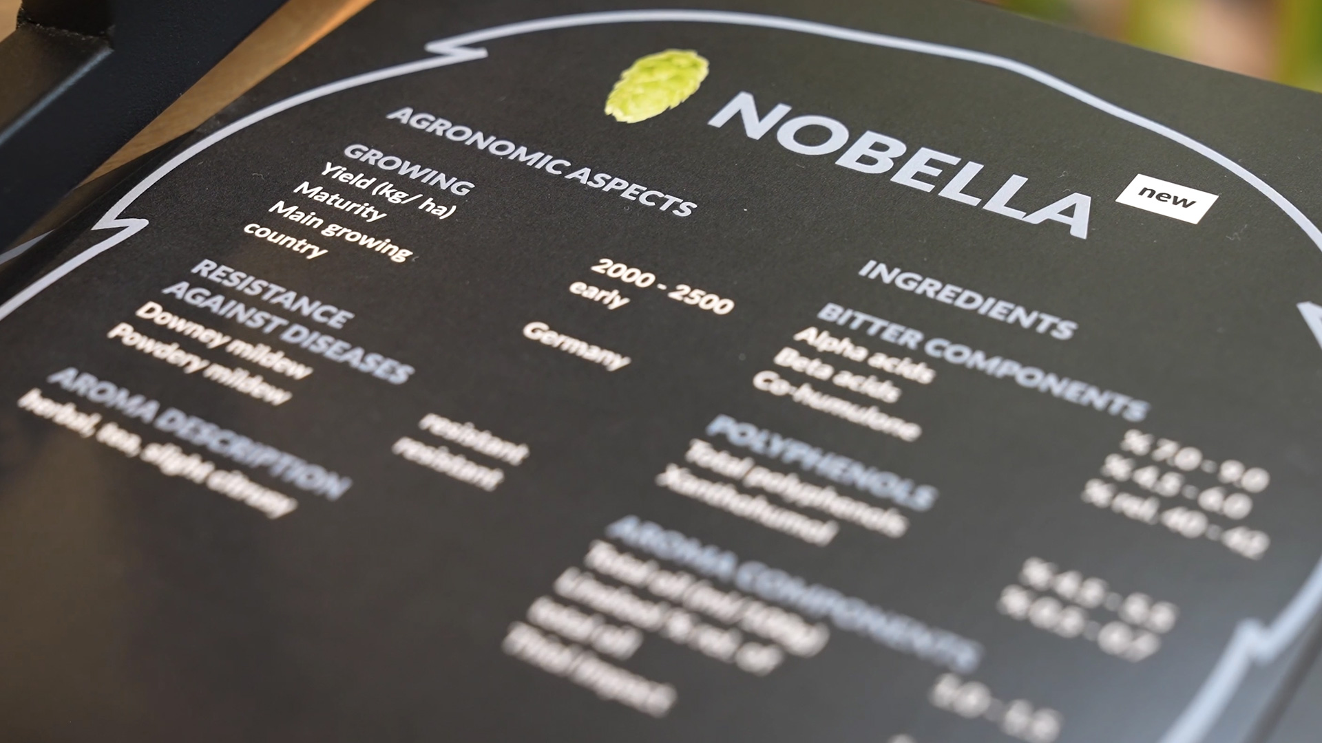 Nobella Hopfensorte Klimawandel