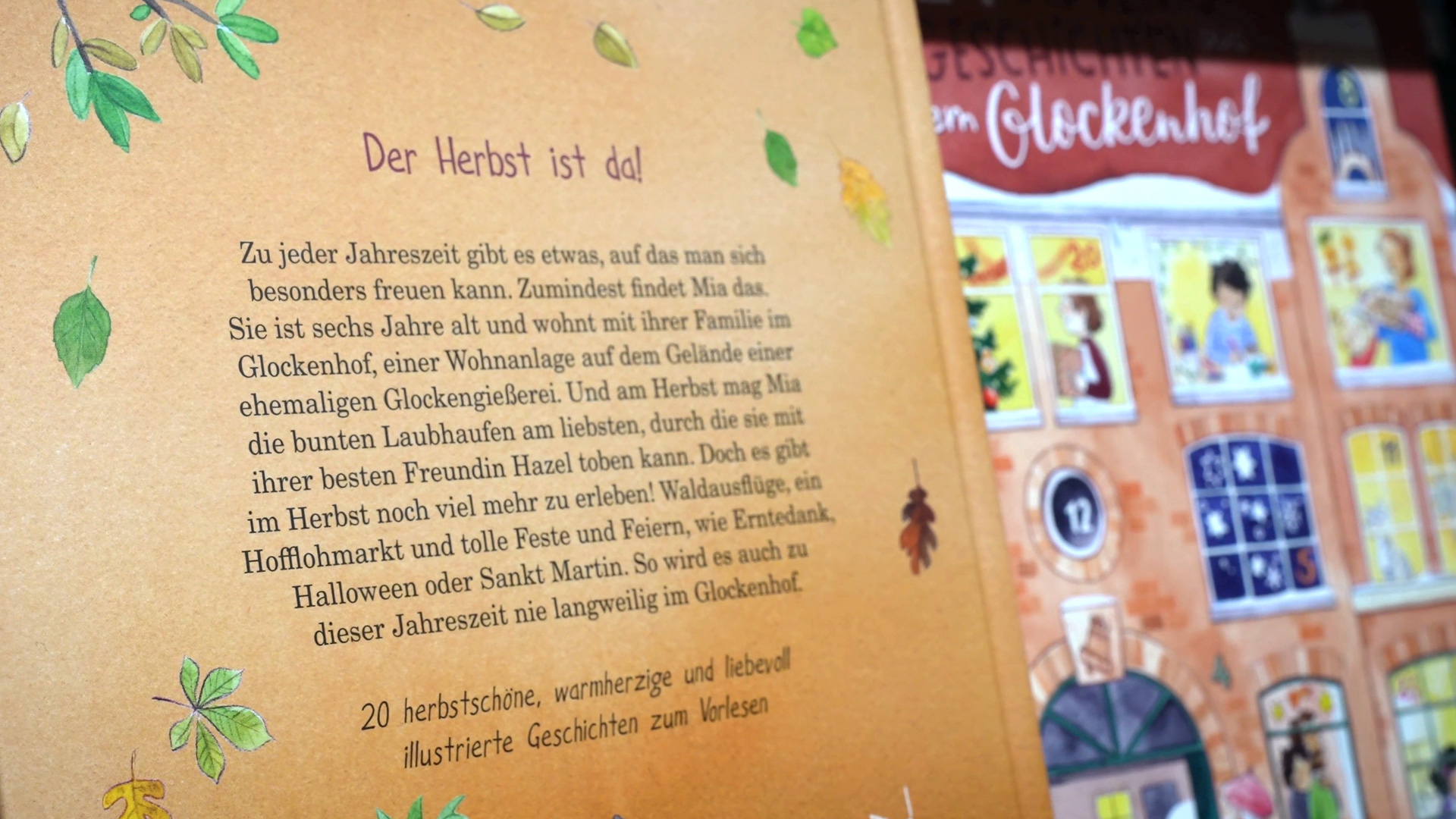 Kinderbuch Klappentext Herbstgeschichten Schniedermann