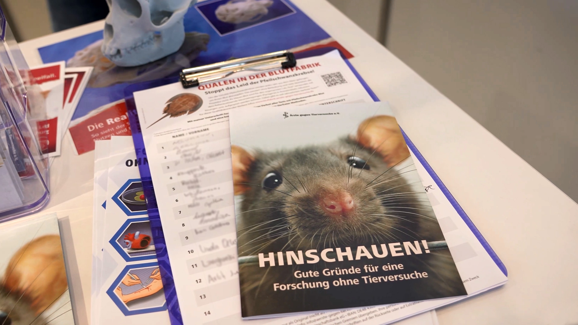 Organoide in Medikamentenentwicklung statt Tierversuch