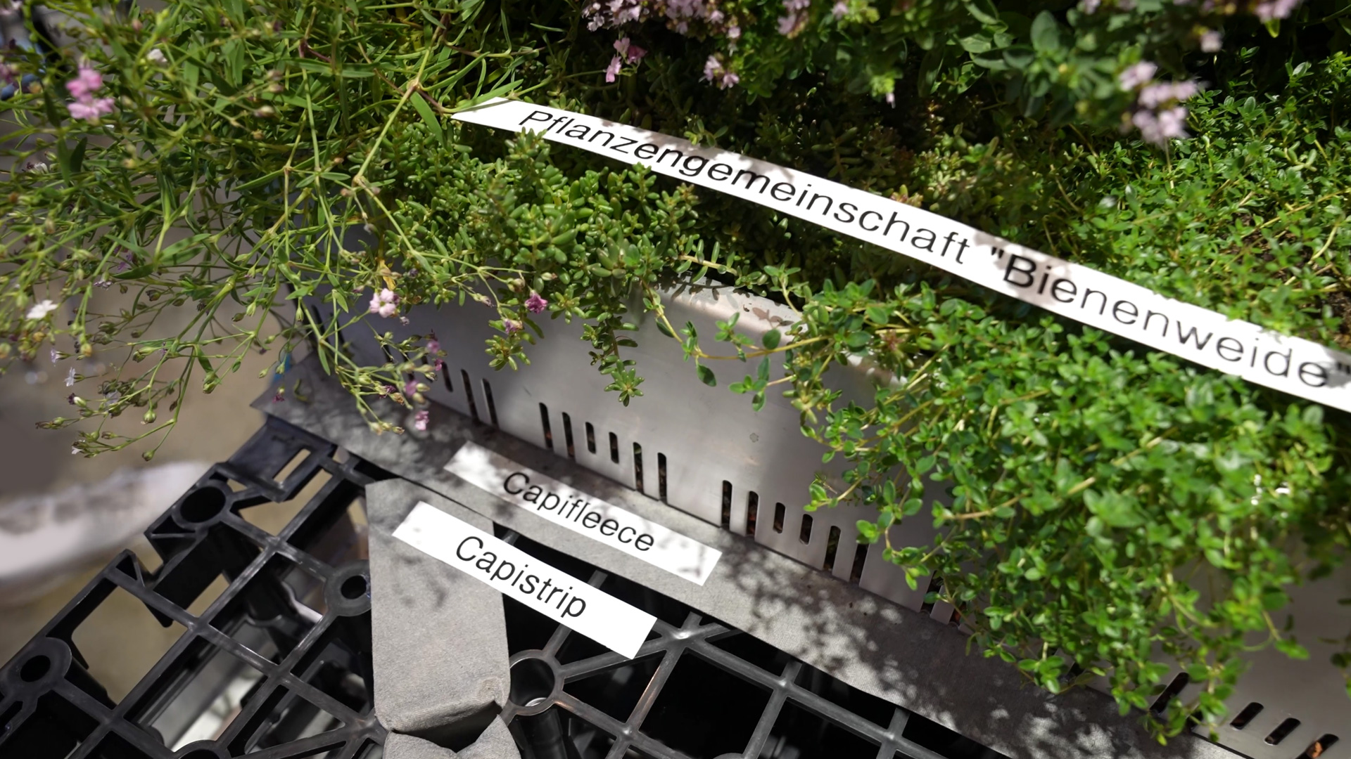 Gründach Wasserspeicherung stellt zusätzliche Anforderungen an die Statik