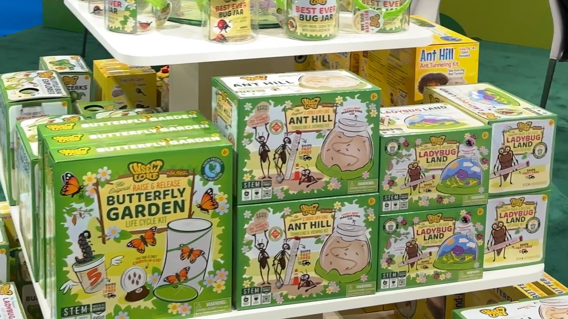 Ameisen Set als Naturkunde Projekt fuer Kinder