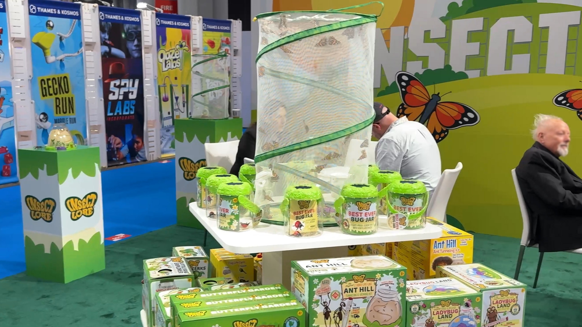 Schmetterlings Set zeigt Entwicklung vom Ei zum Falter Insect Lore