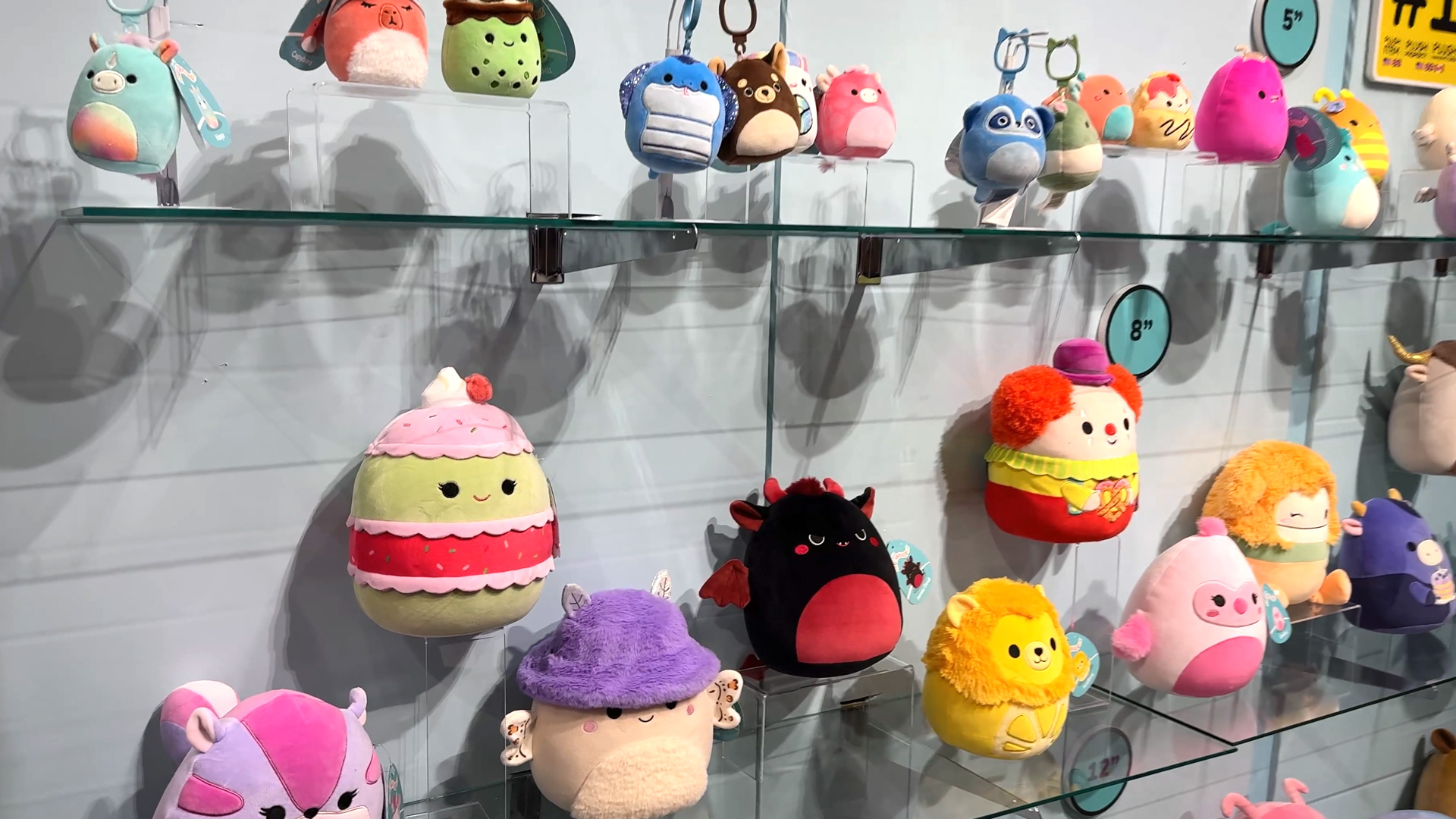 Squishmallows Kuscheltiere aus Pluesch fuer Kinder Jugendliche und Erwachsene