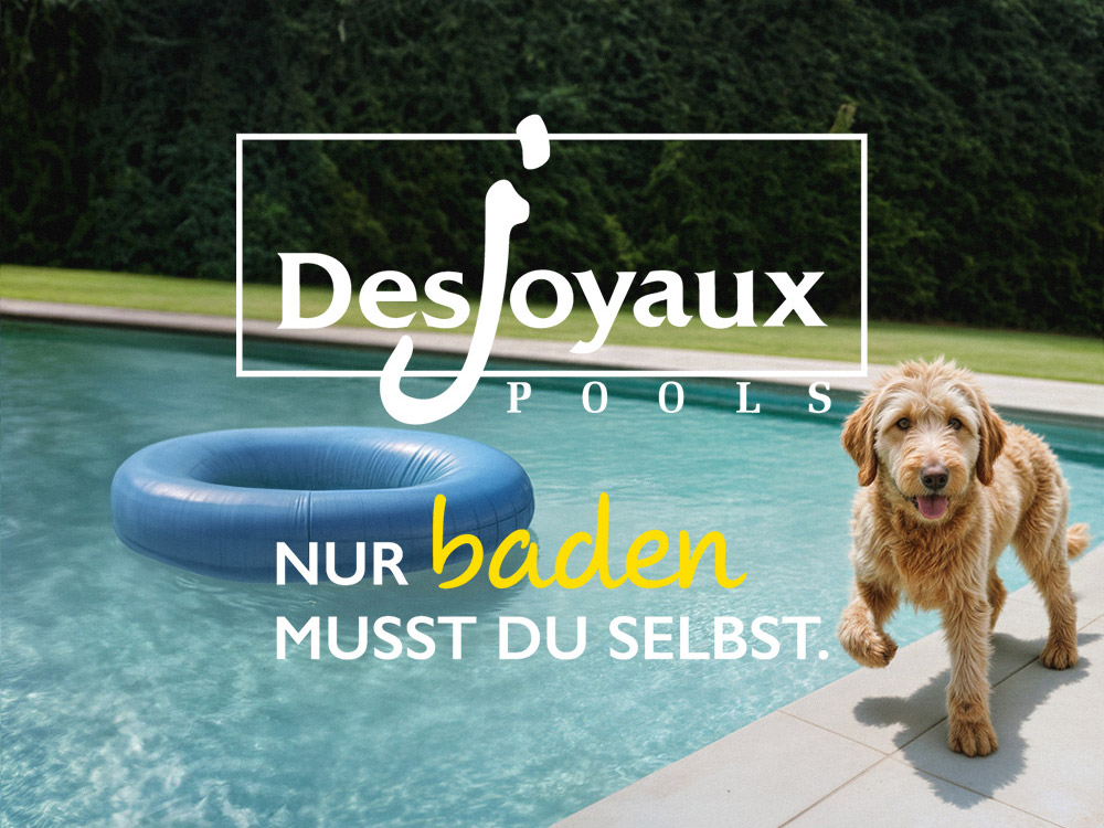 Hund am Swimmingpool im Garten