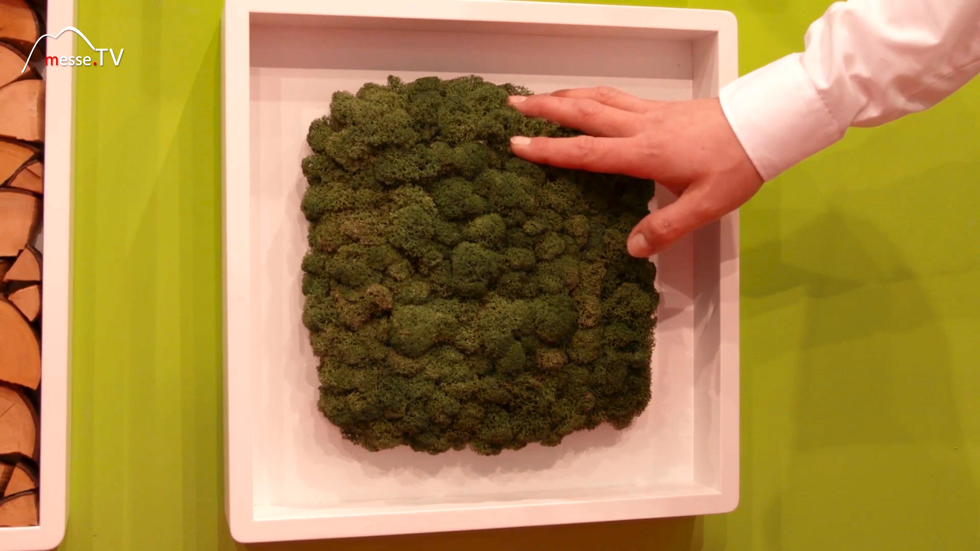 Wallapp wall decoration moss