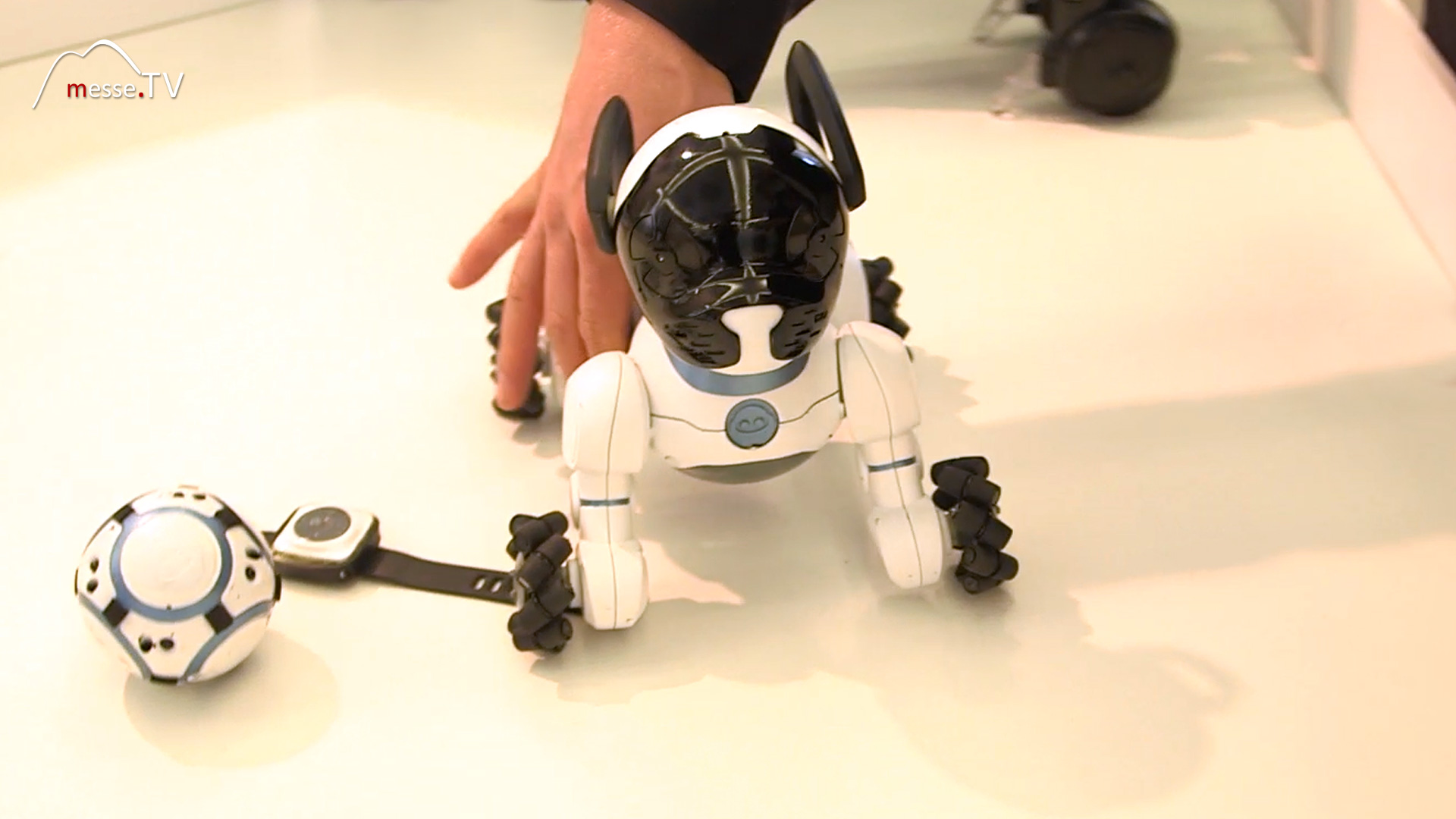 Robot dog with chip