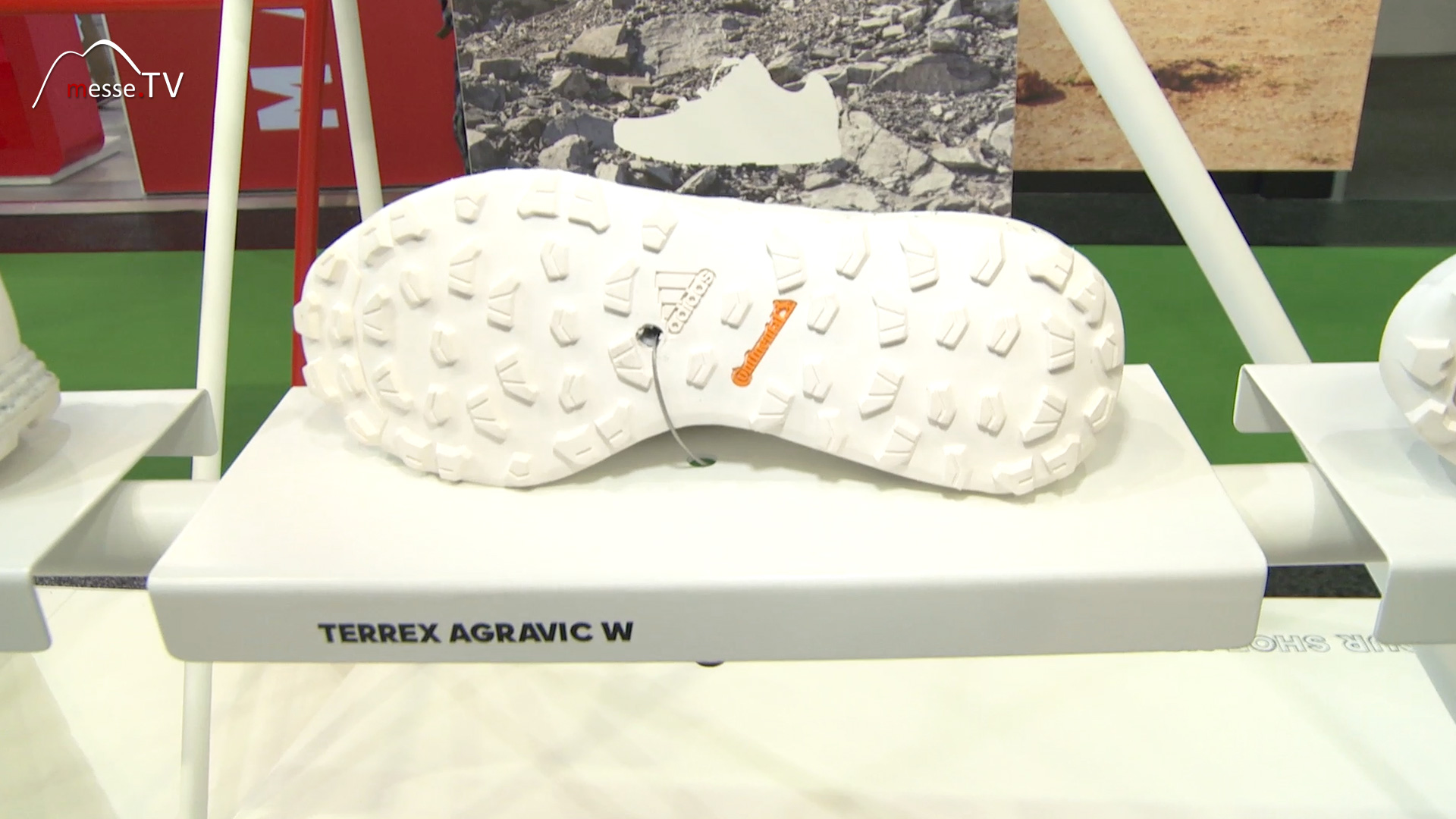Sports shoes Terrex Agravic Continental Profile
