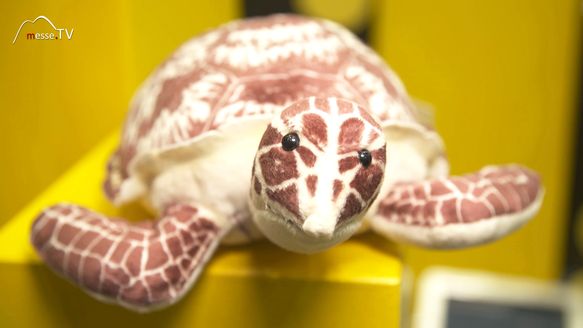 National Geographic plush toy turtle Steiff