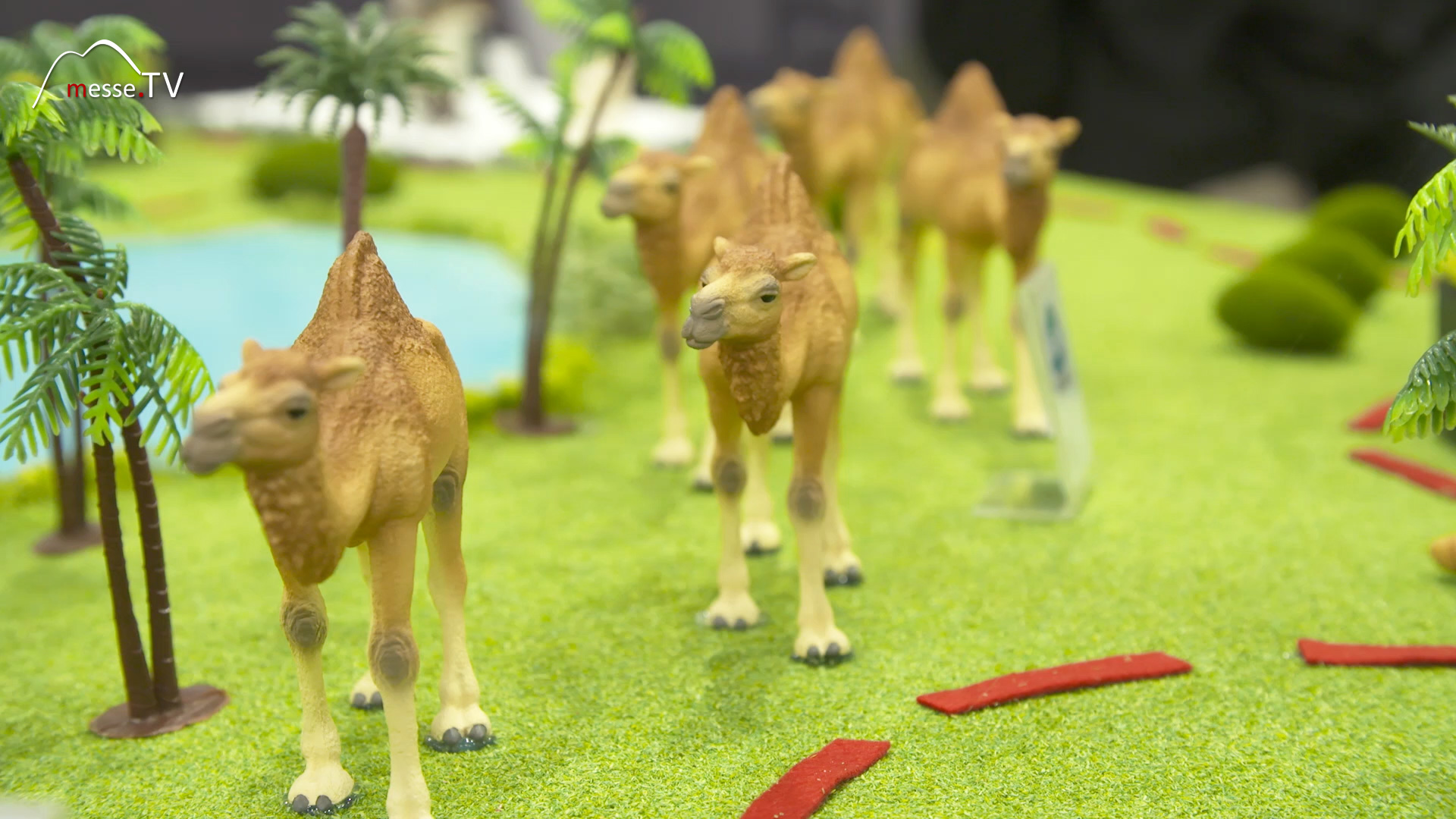 Schleich Wildlife Animal Figures Dromedaries