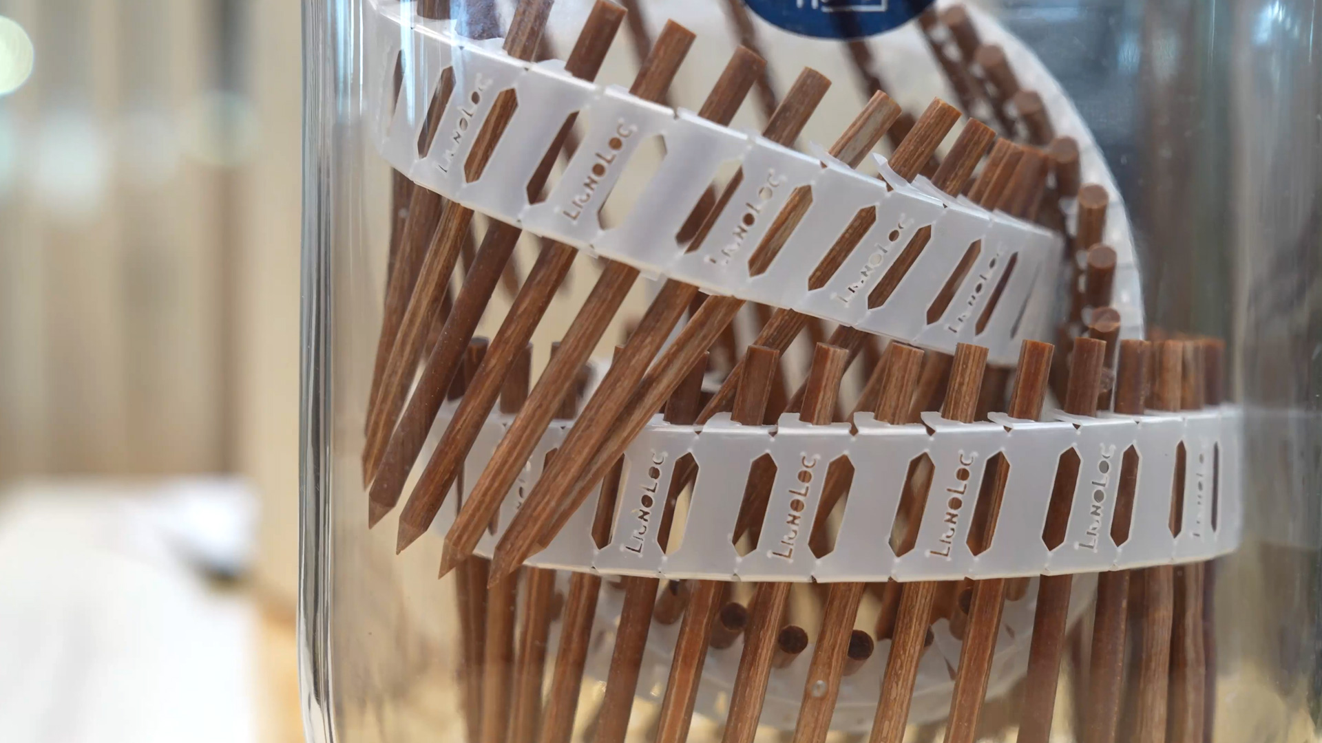 beech wood nails as connectors for solid wood walls woodbloc