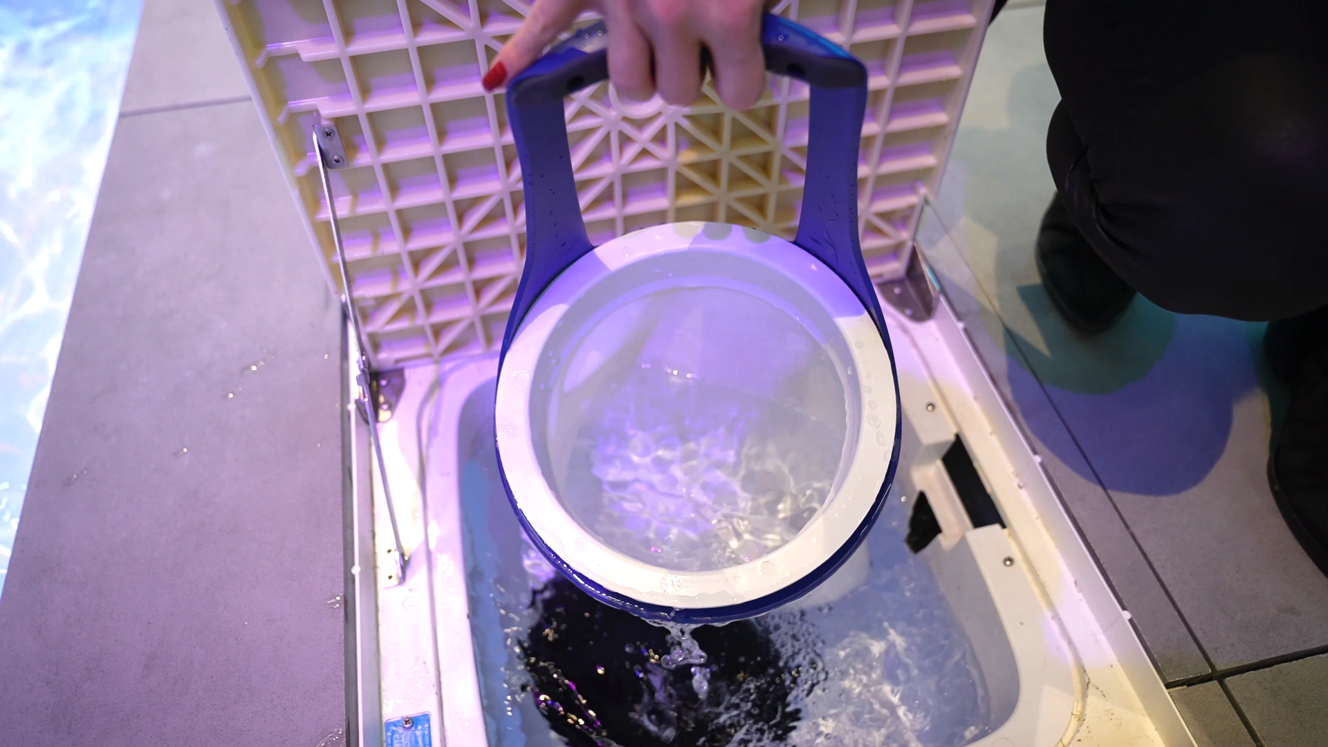 filter system pool sustainable water filtration