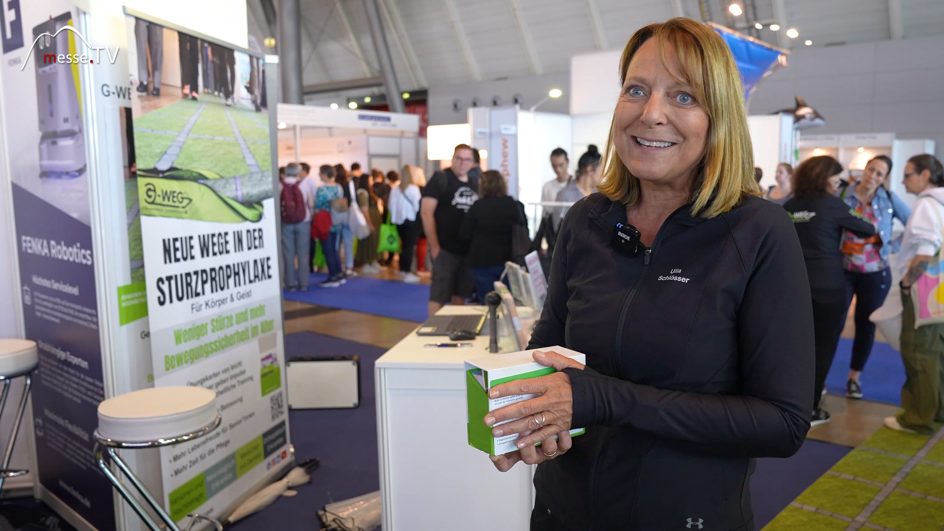 fall prevention system g weg