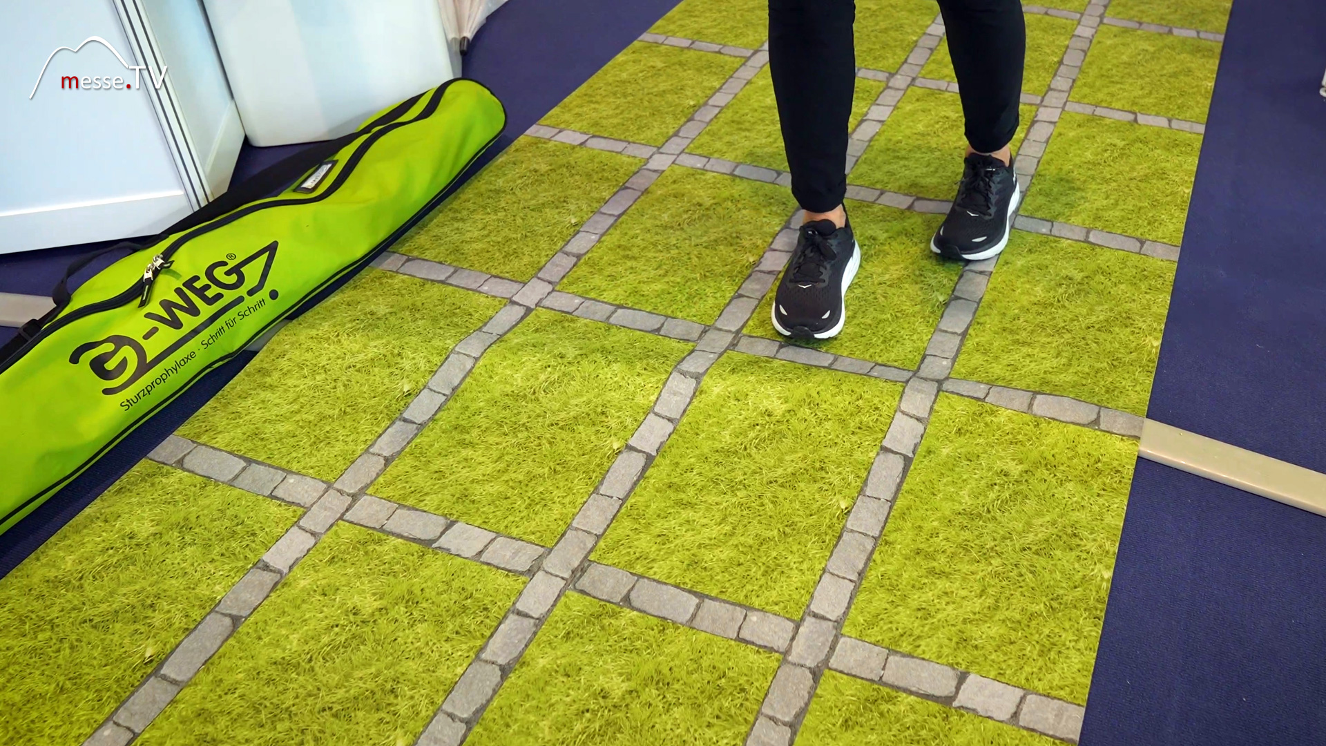 fall prevention walking training ergotherapy g weg