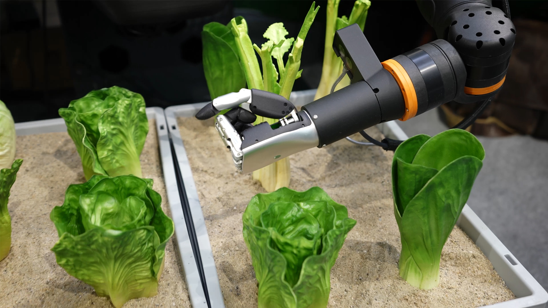 Smart agriculture robotics automation and digitization at Agritechnica