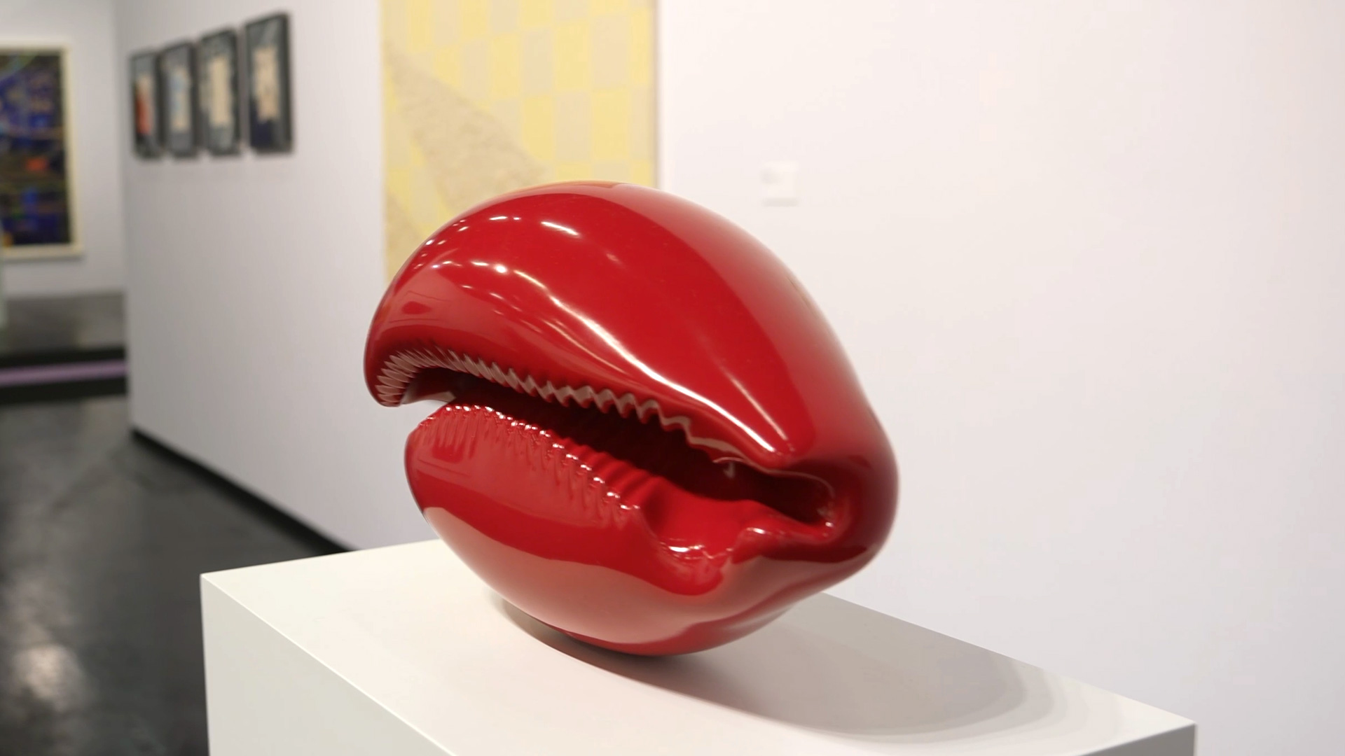 Vanitas motif shell red car paint Schoenewald Fine Arts