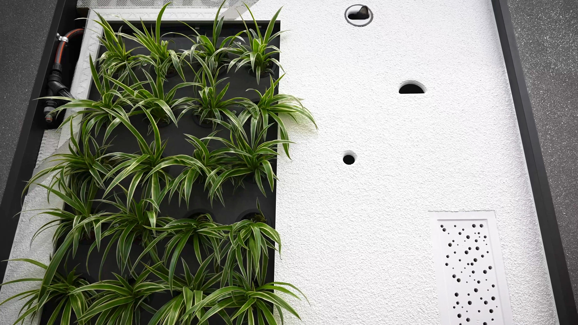 house facade with integrated nesting boxes for protected bird species and bats bau 2025