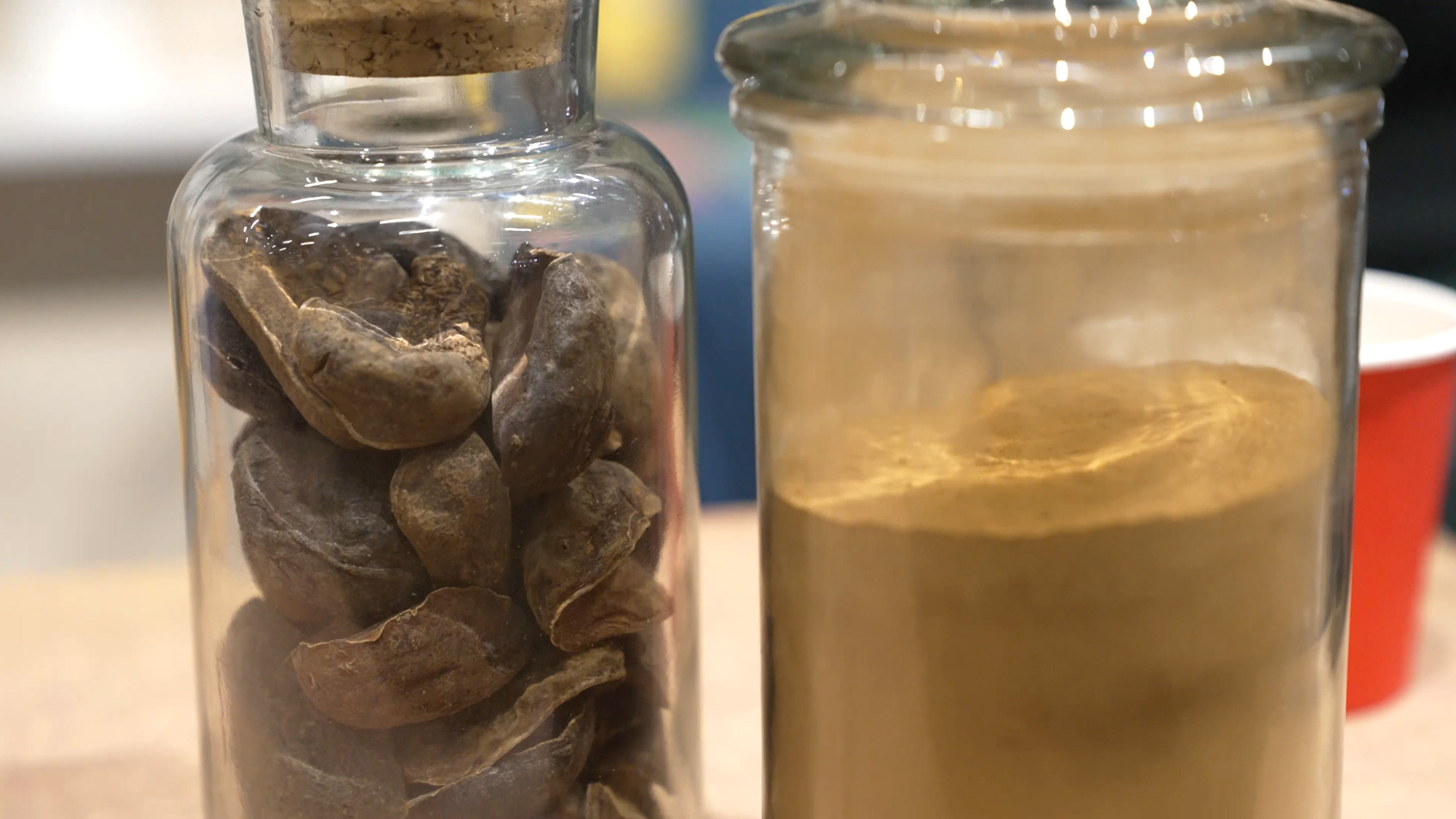 kola nut and kola nut powder organic good alternative to coffee
