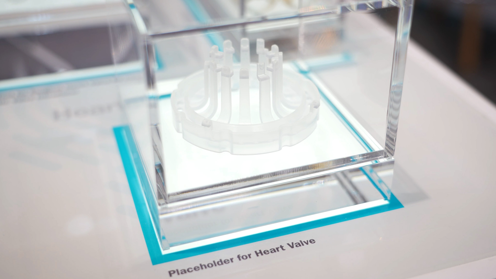 Placeholder for a heart valve Compamed