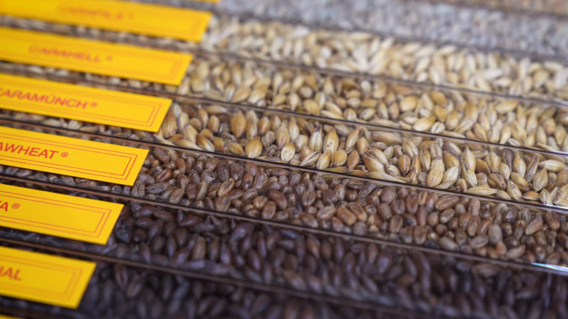 Weyermann Offers Over 100 Malt Varieties