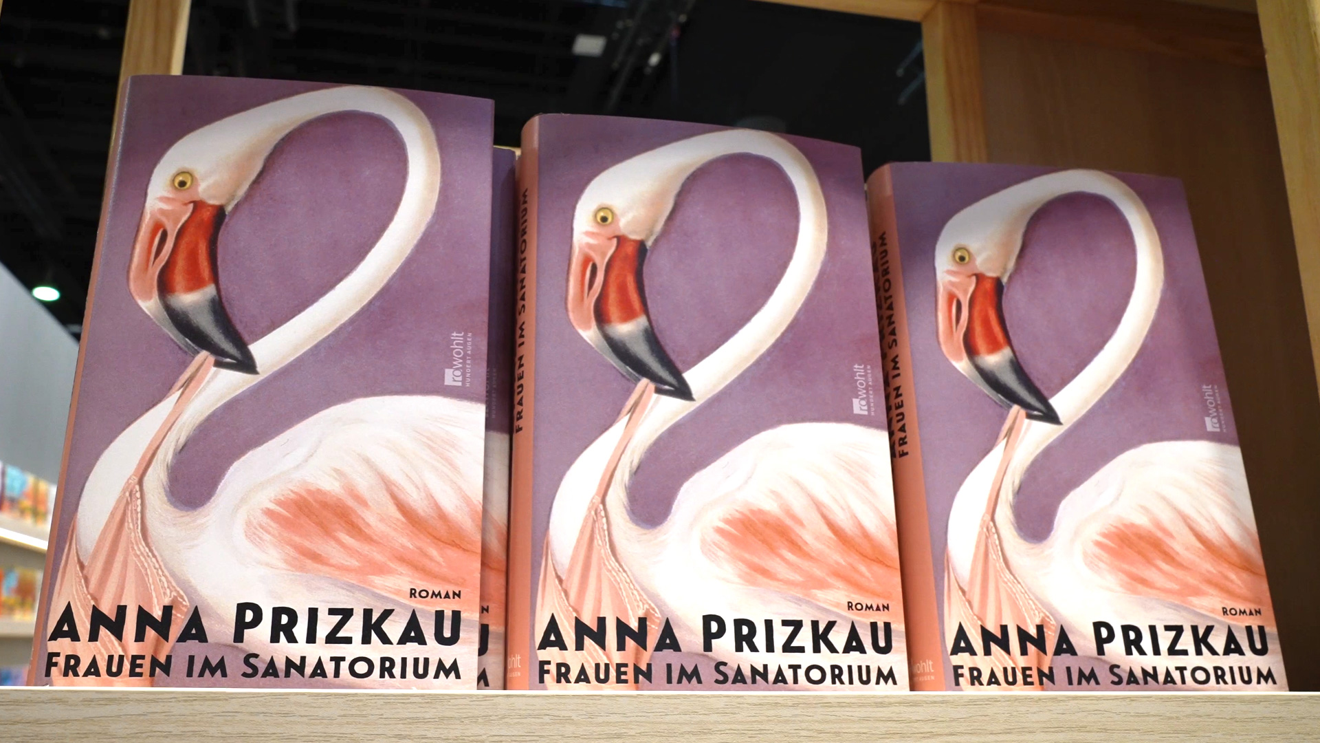 Anna Prizkau Women in the Sanatorium Novel