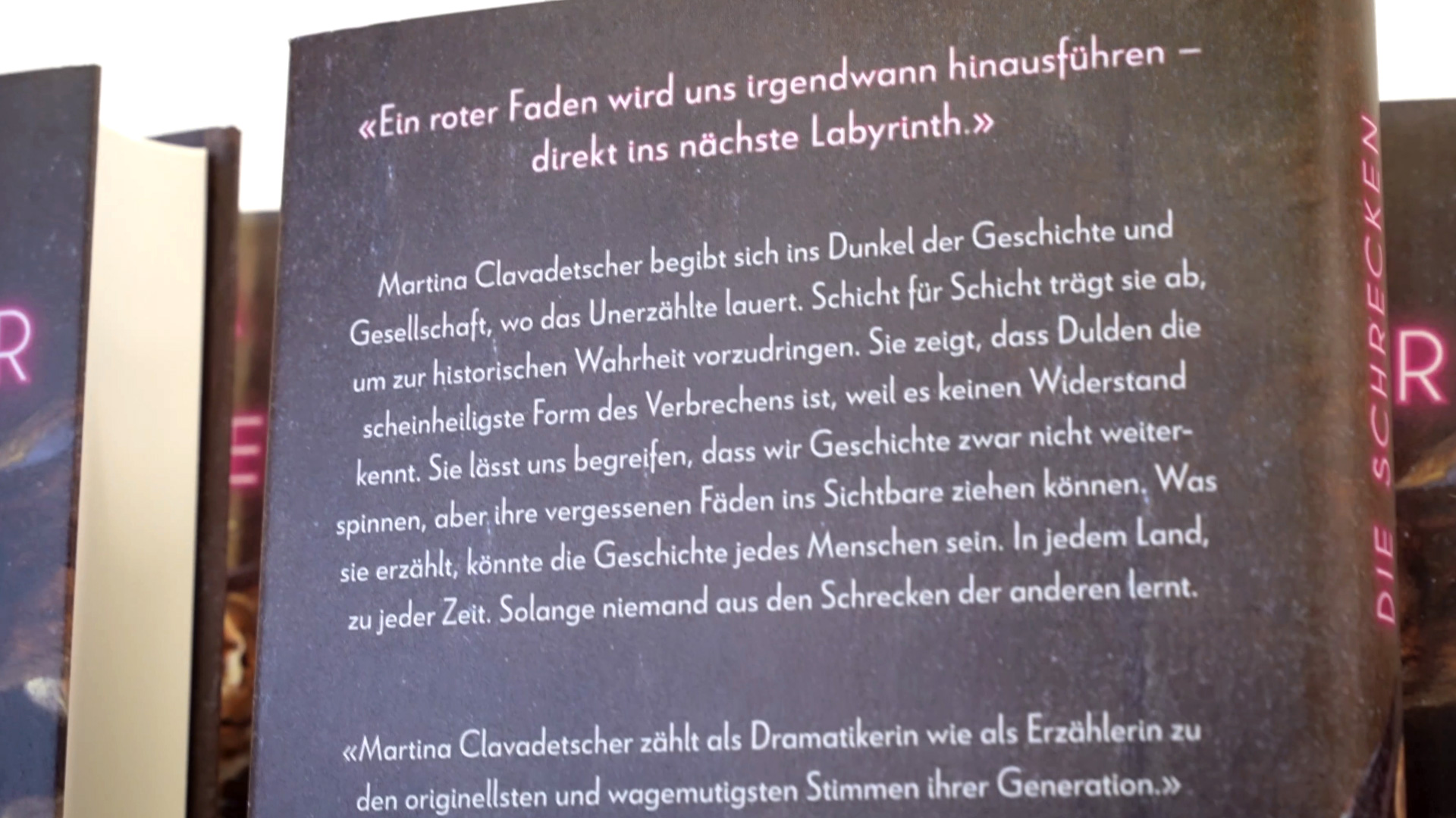 C H Beck Die Schrecken der Anderen Blurb