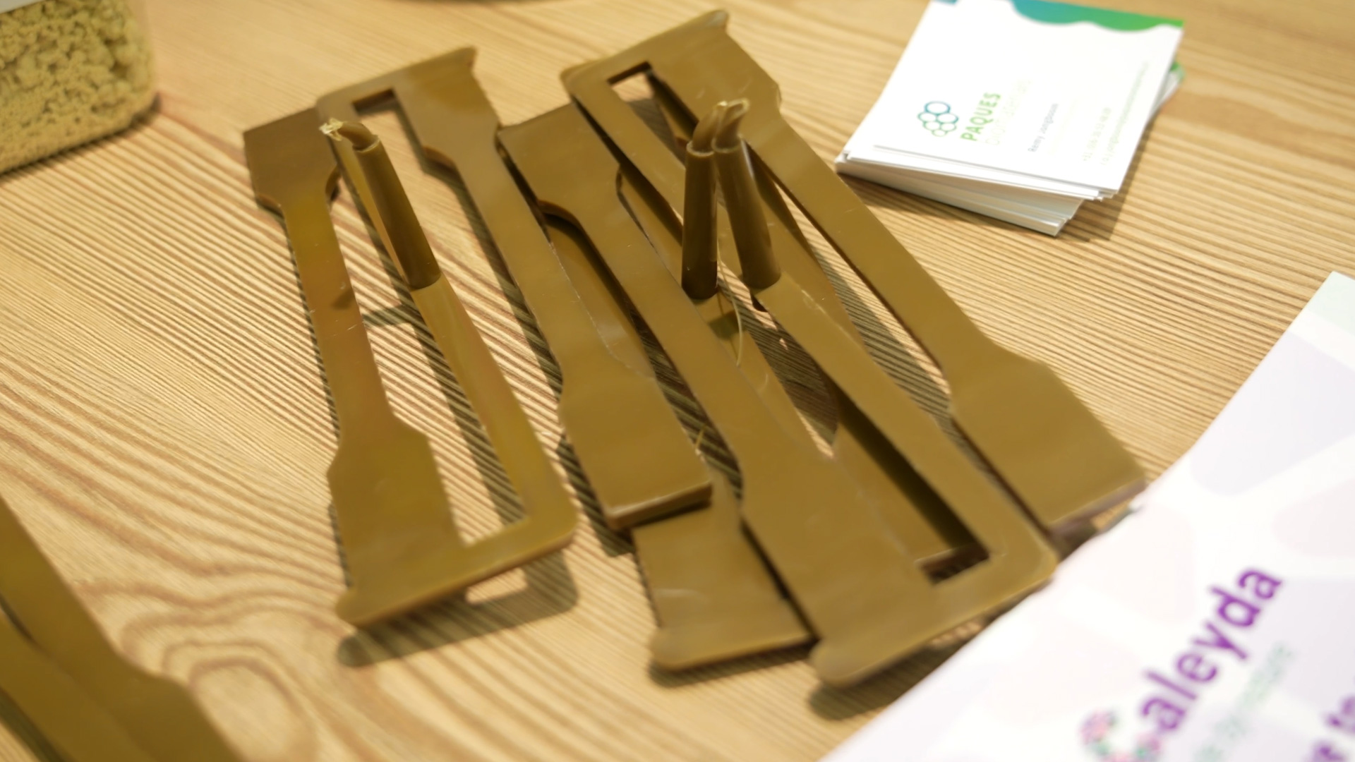 Biopolymer sustainable plastics production Caleyda