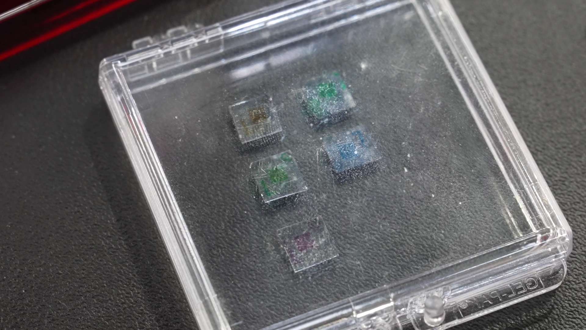 nanotechnology sensors for rapid bacteria detection
