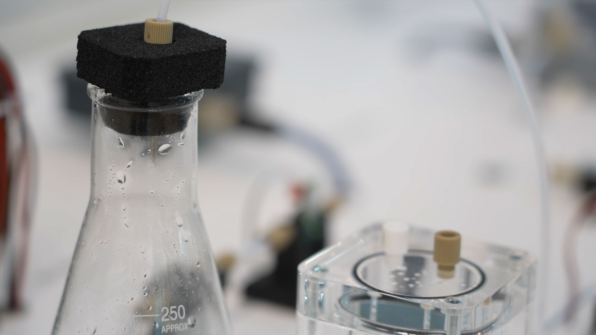 Analytica 2026 Trends in Laboratory Technology Analytics and Biotechnology