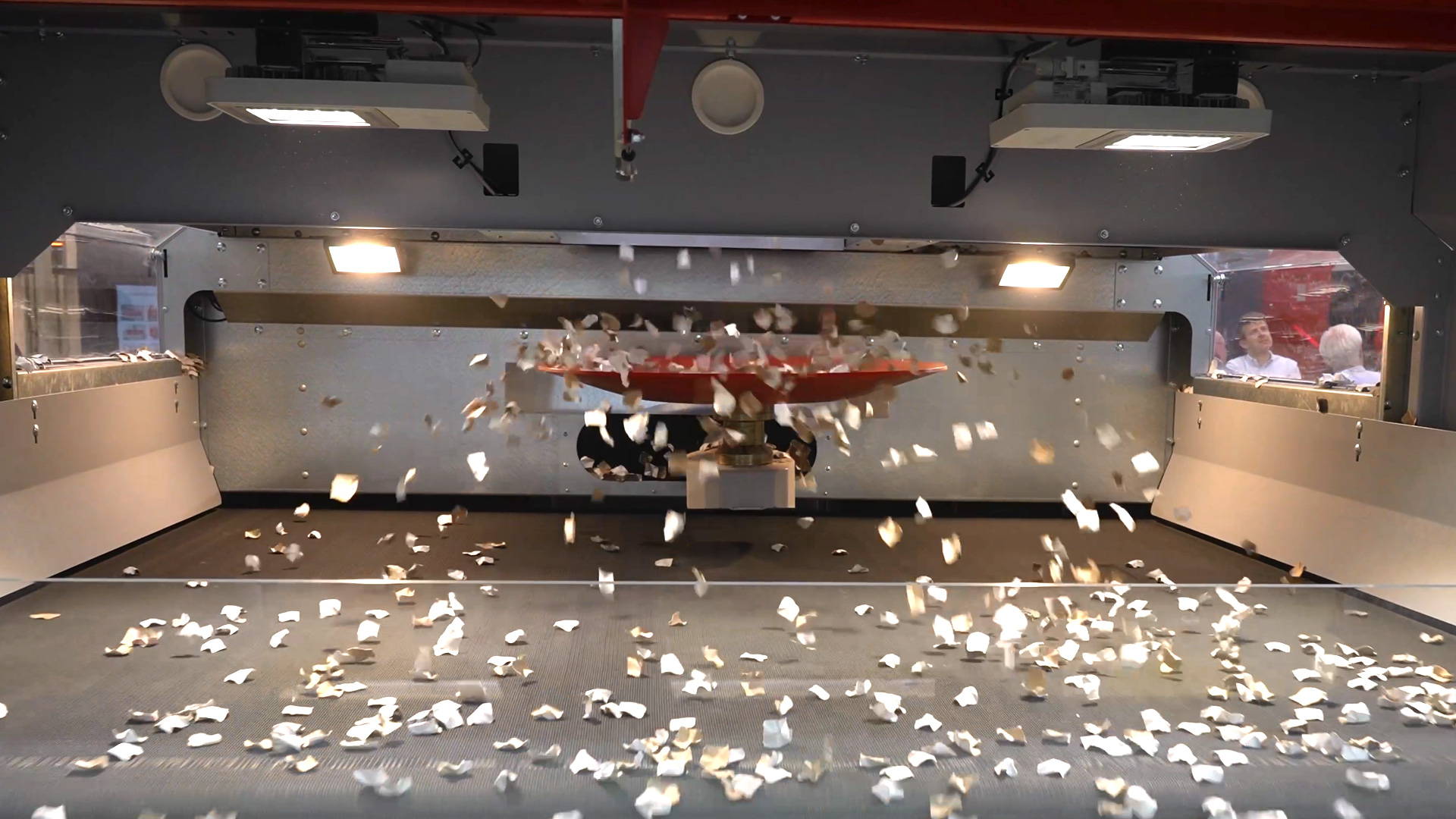 DiscSpreader automove disc distributor specifically developed for use before sorting machines