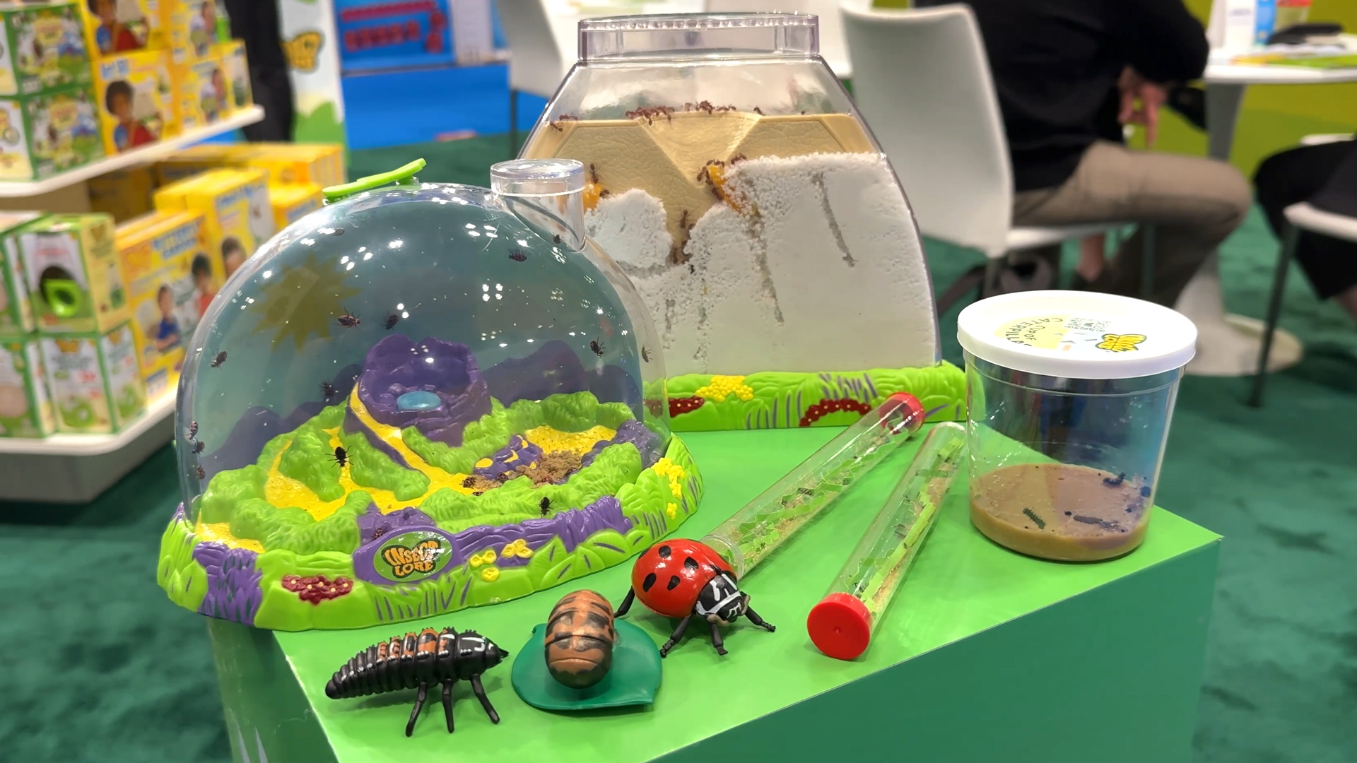 Natural science learning through real observation of insects
