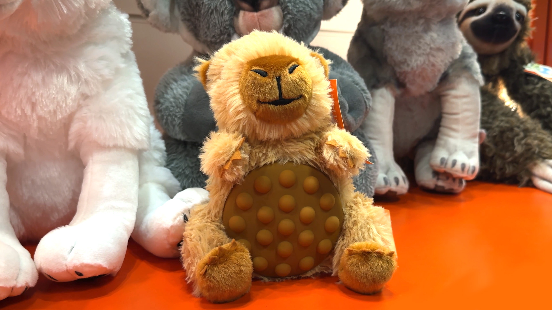 Poppykins capybara with fidget function