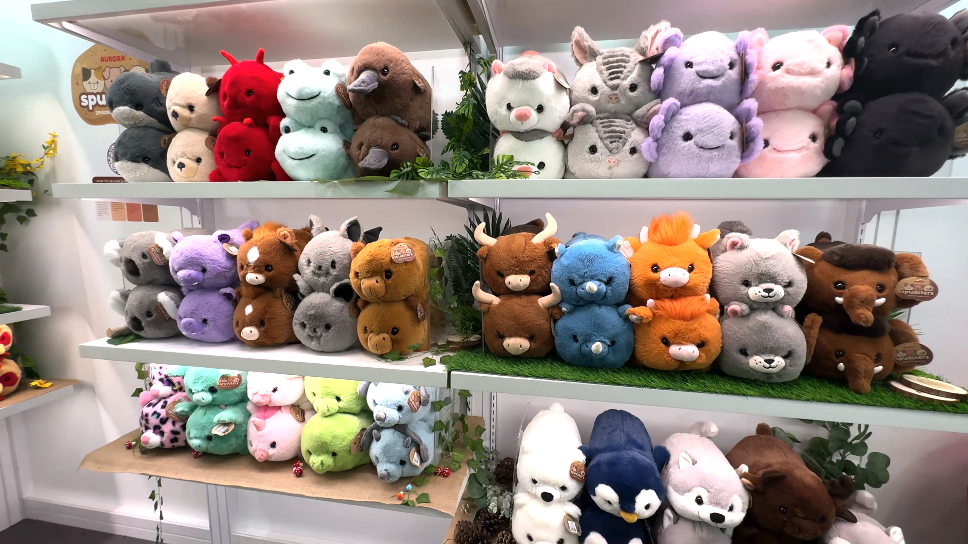 Spudsters Aurora Plush Toys